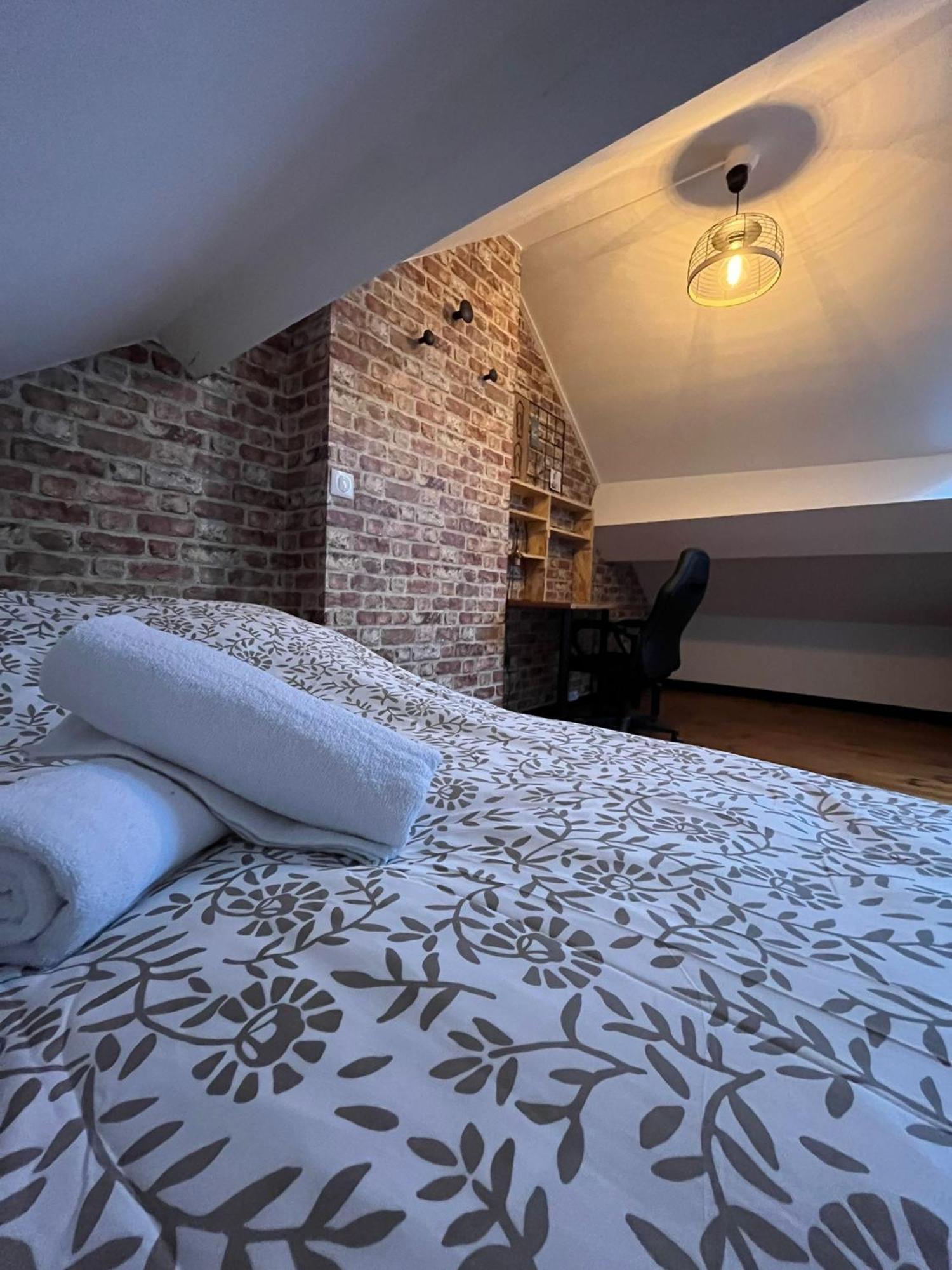 Gite Le Charme Citadin 55 M² Avec Exterieur ヴァランシエンヌ エクステリア 写真
